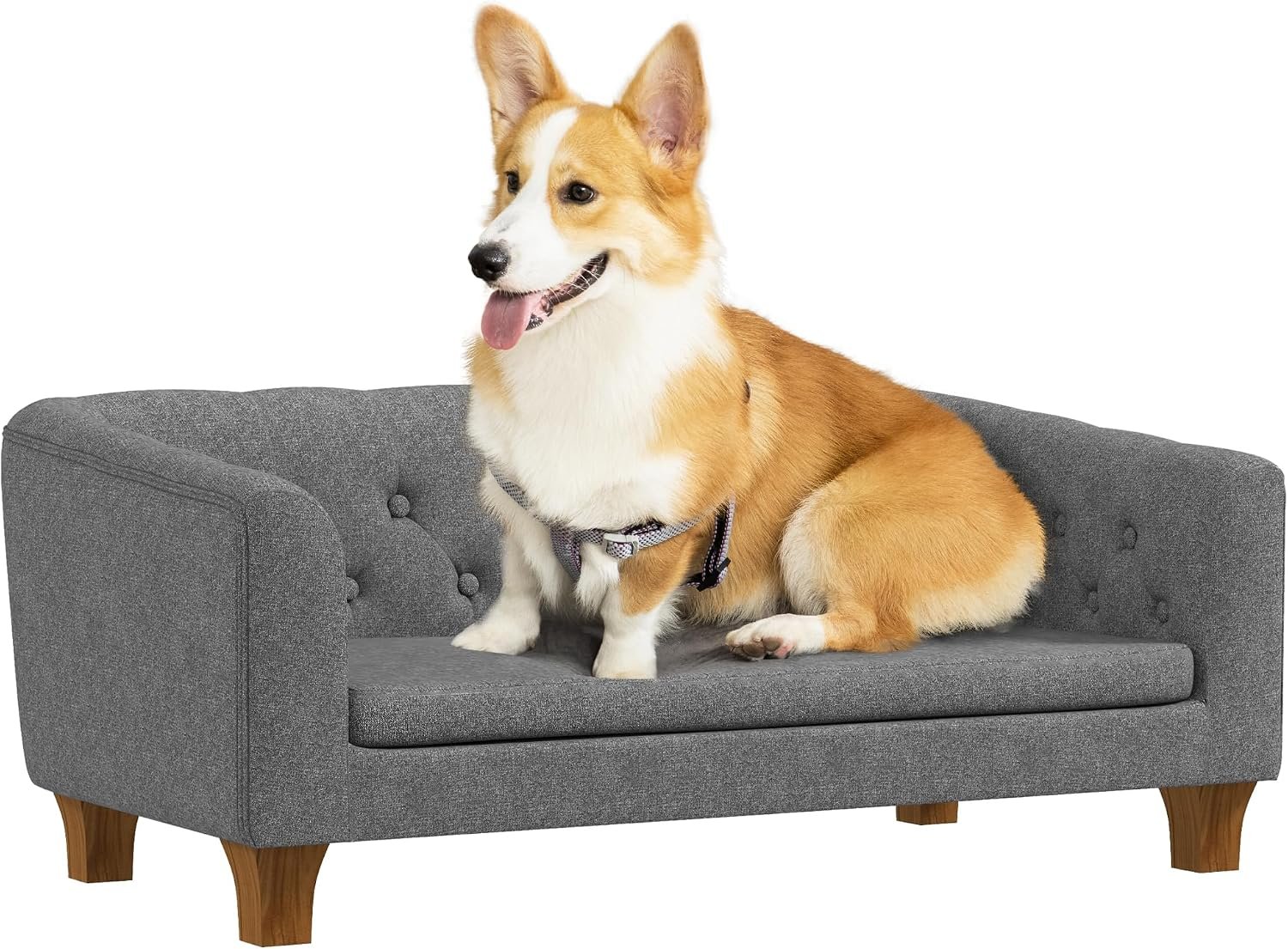 Elevated dog sofa, suitable for small to medium-sized dogs, with removable cushions.