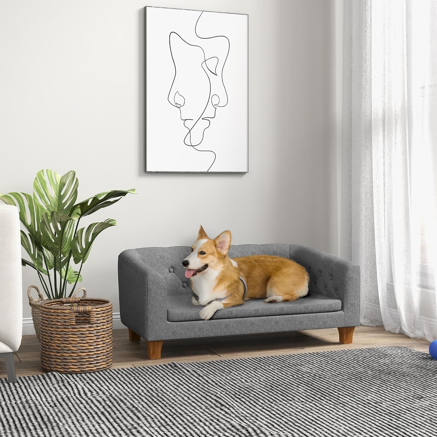 Elevated dog sofa, suitable for small to medium-sized dogs, with removable cushions. - Image 2